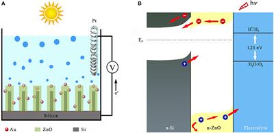 Gold-Sensitized Silicon/ZnO Core/Shell Nanowire Array for Solar Water Splitting